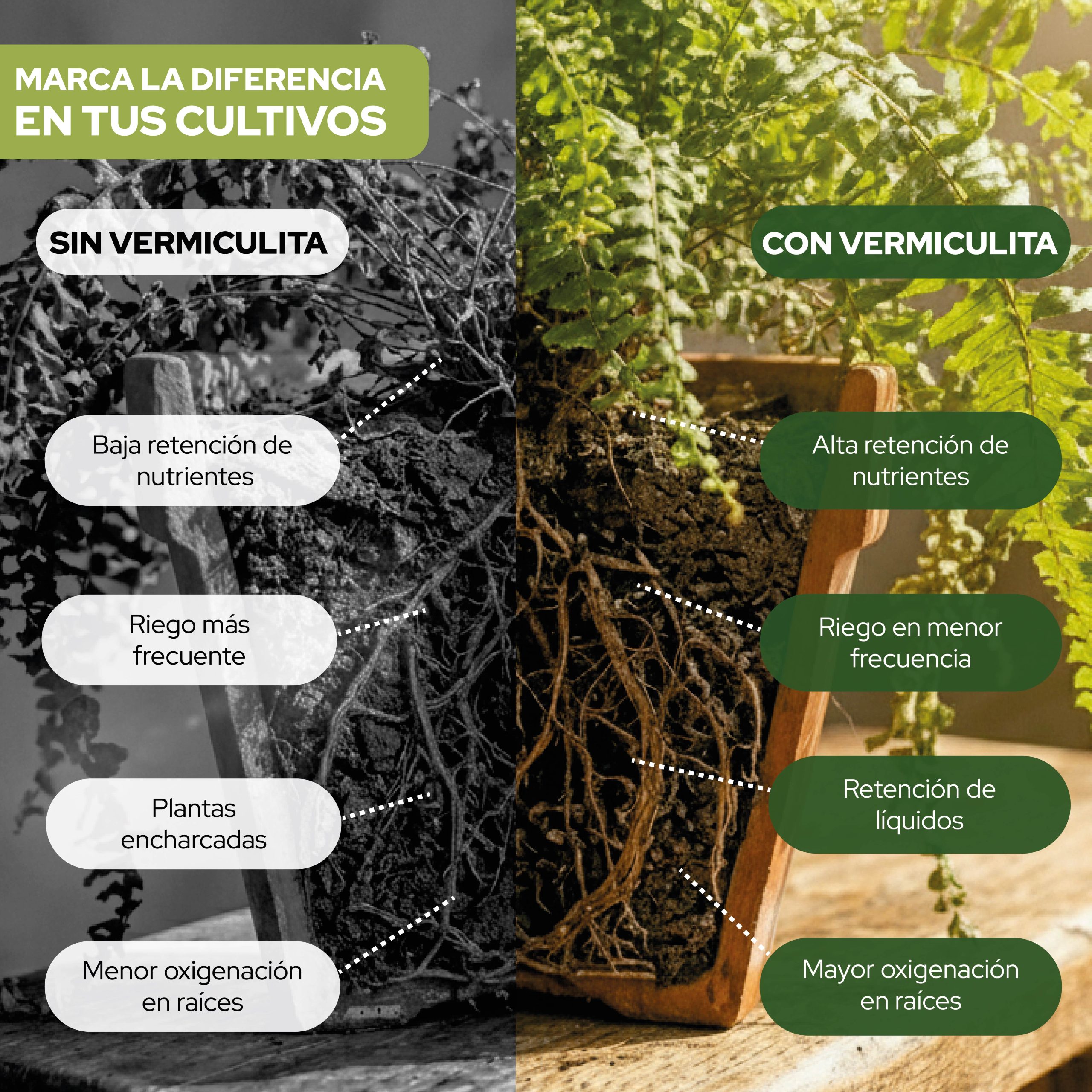 Vermiculita 20L para mejorar el sustrato de plantas y cultivos · foto 4