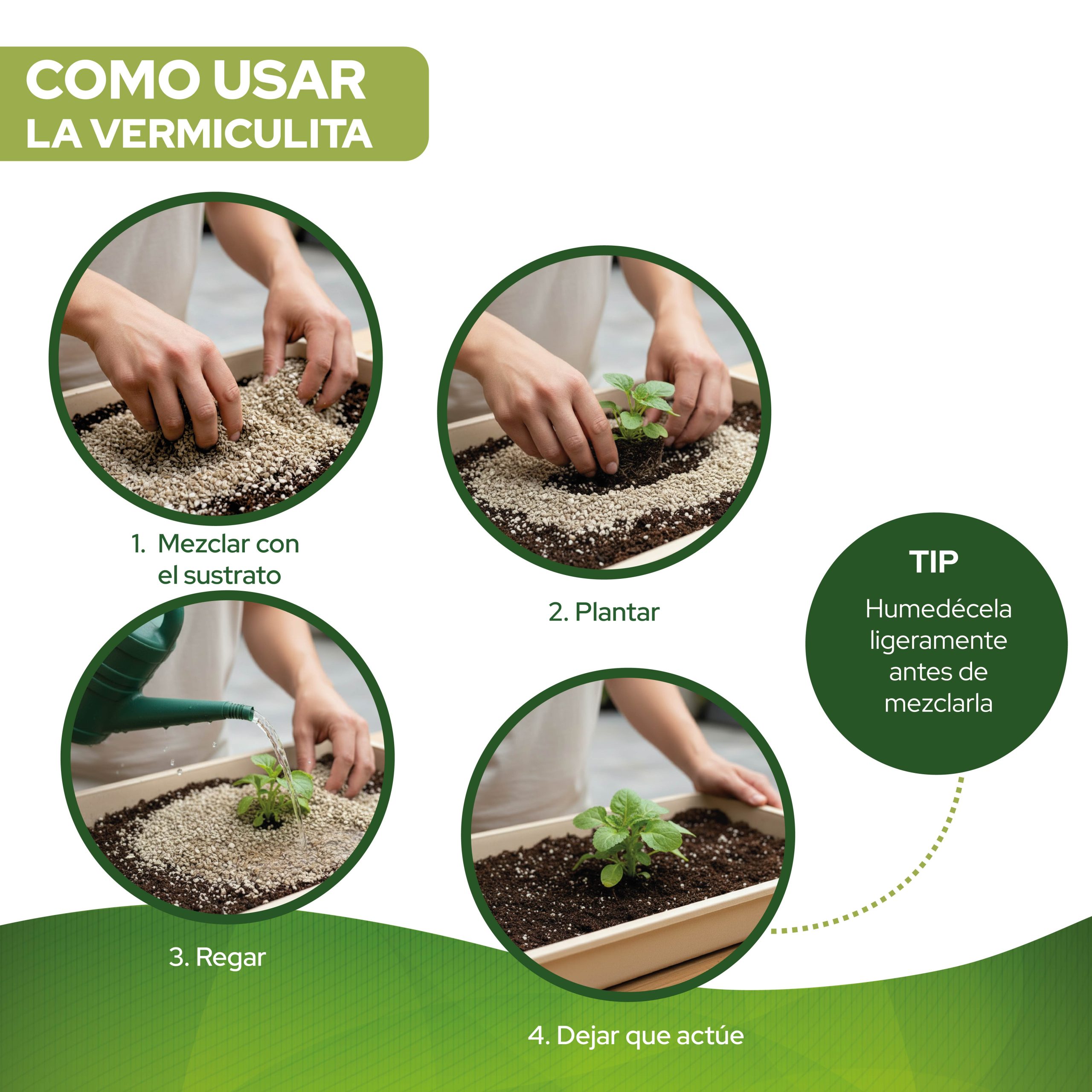 Vermiculita 6L para mejorar la retención de agua en cultivos. · foto 8