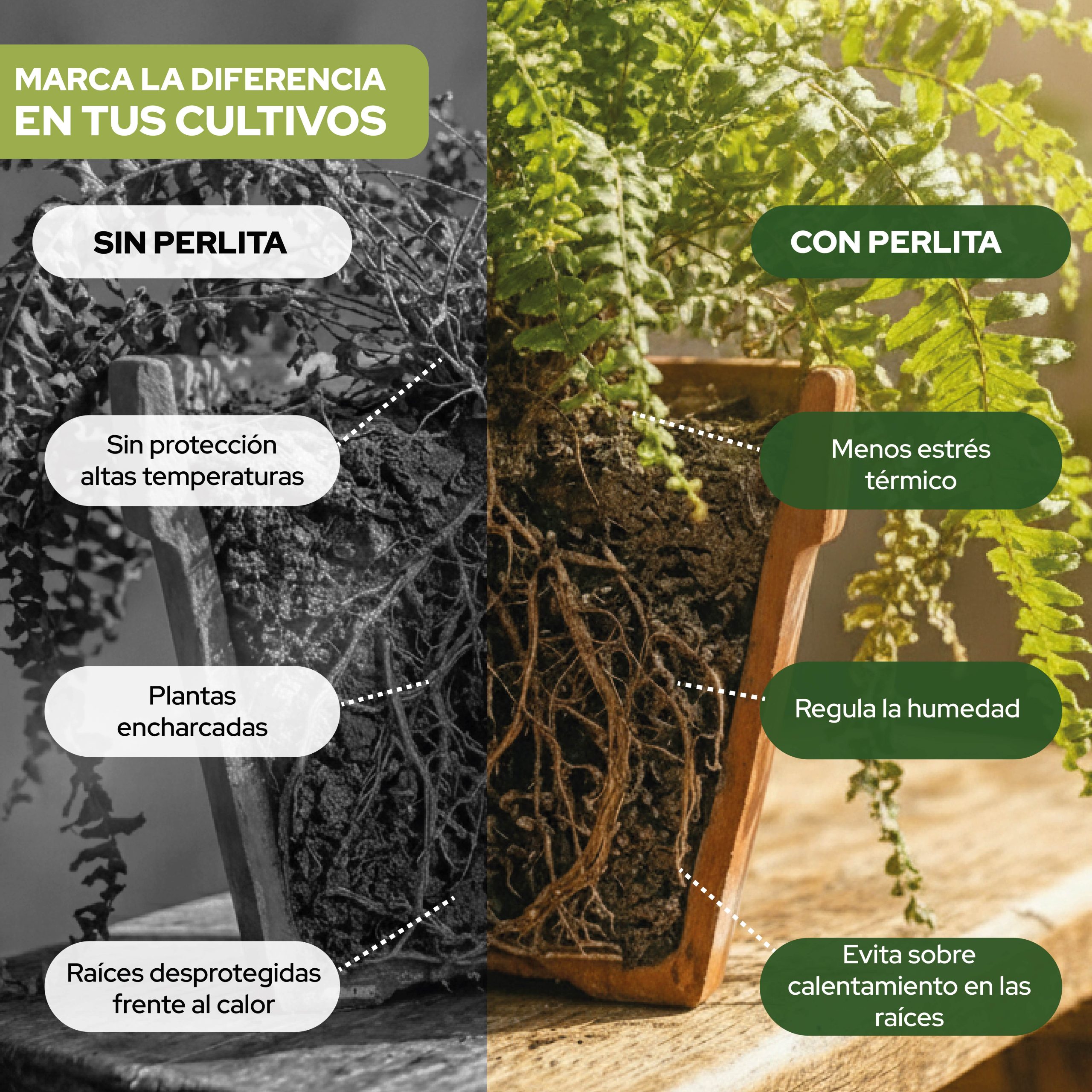 Perlita 20L de Control Garden para mejorar el sustrato de plantas · foto 4