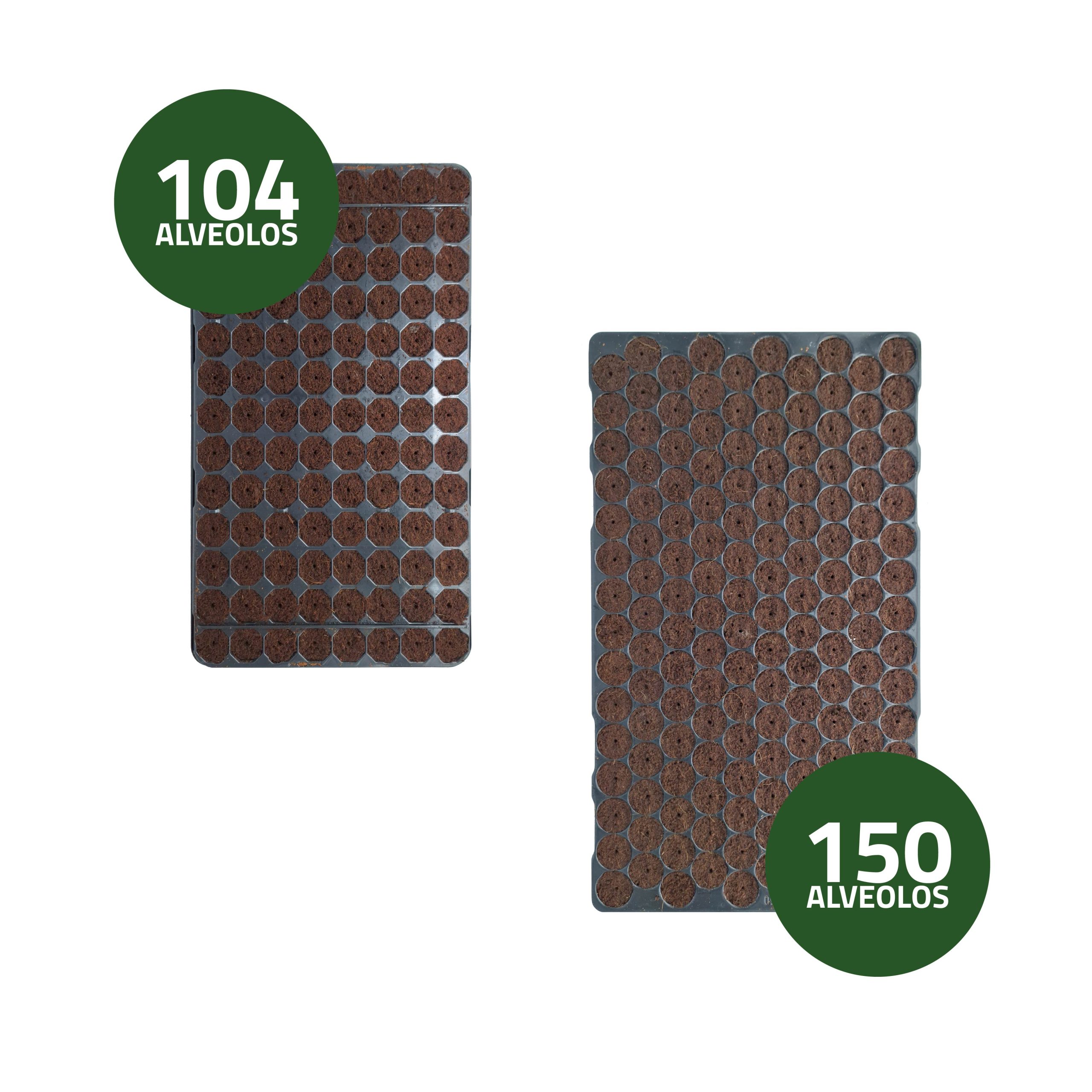 Vassoio di Germinazione Semi Umidi 40 x 30 cm · Confezione da 10 unità
