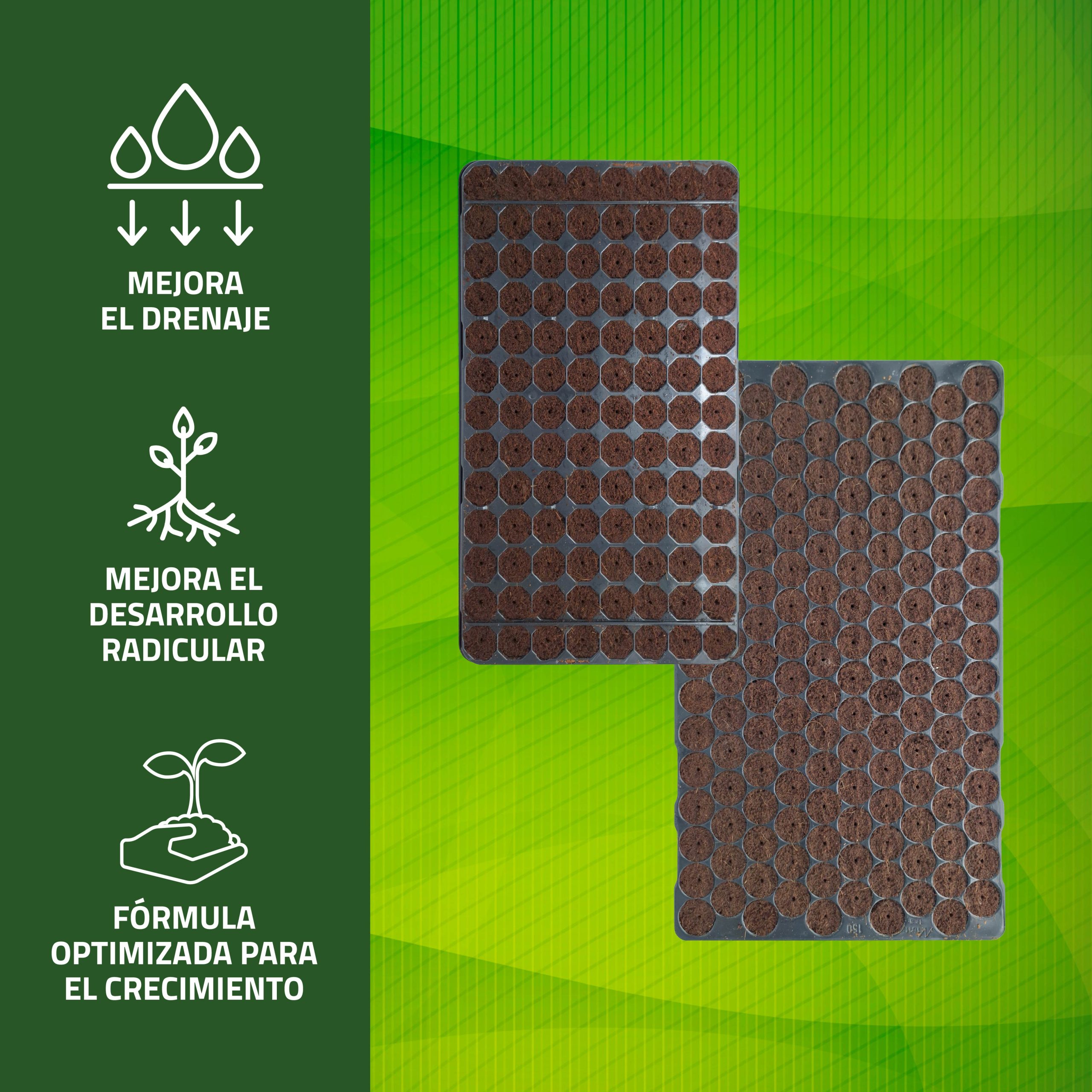 Semilleros húmedos de Control Garden con tapa transparente para germinación · foto 2