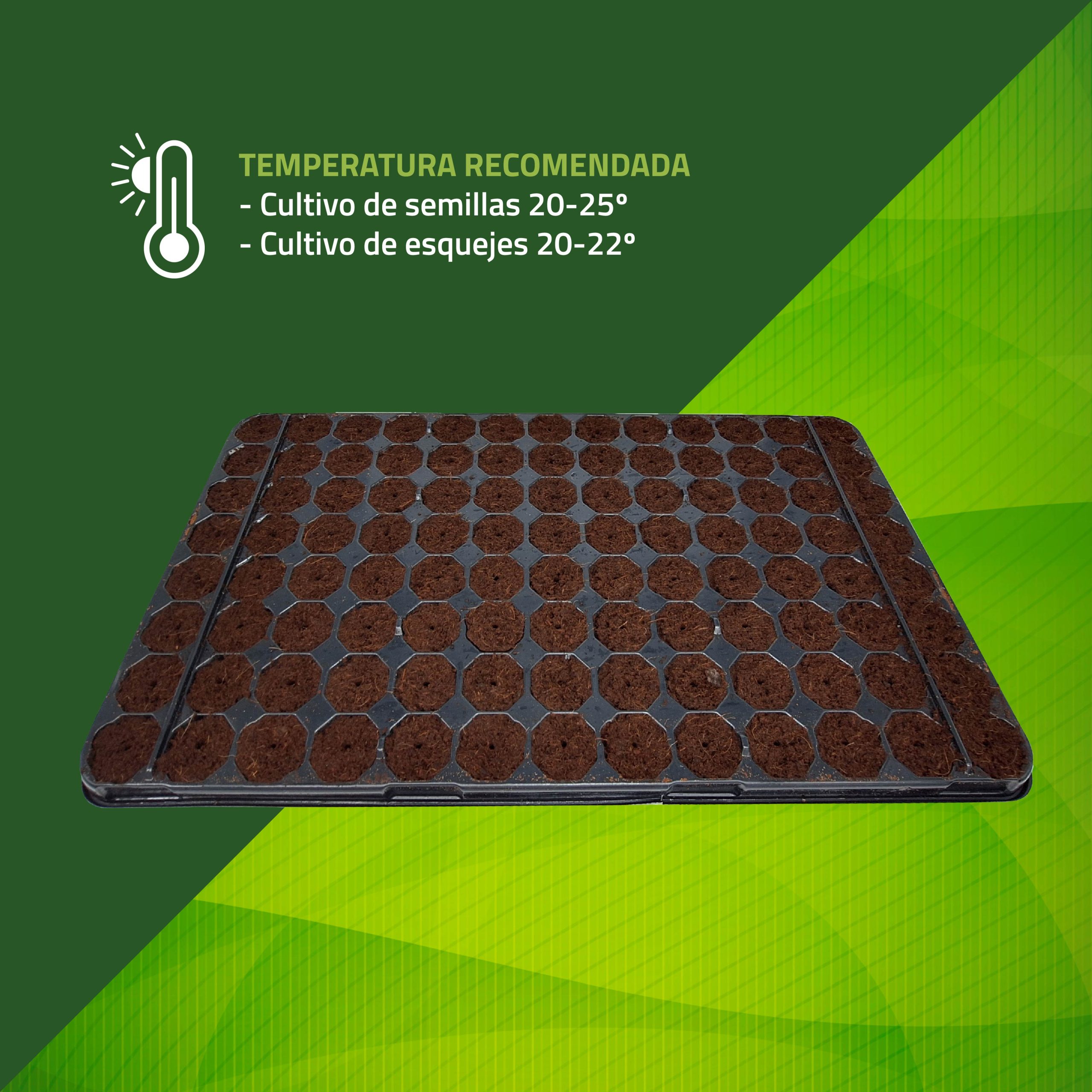 Semilleros húmedos de Control Garden con tapa transparente para germinación · foto 3