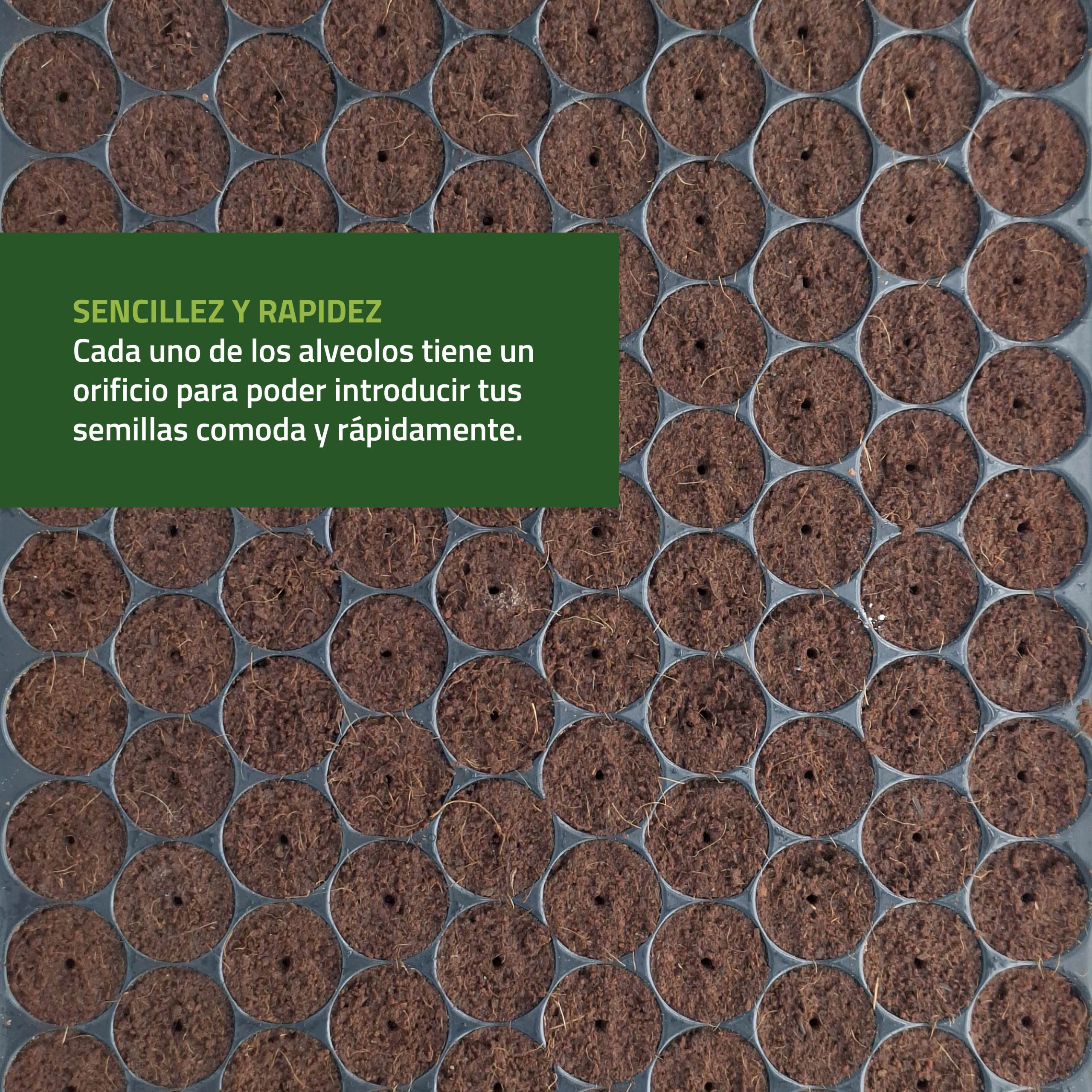 Semilleros húmedos de Control Garden con tapa transparente para germinación · foto 4