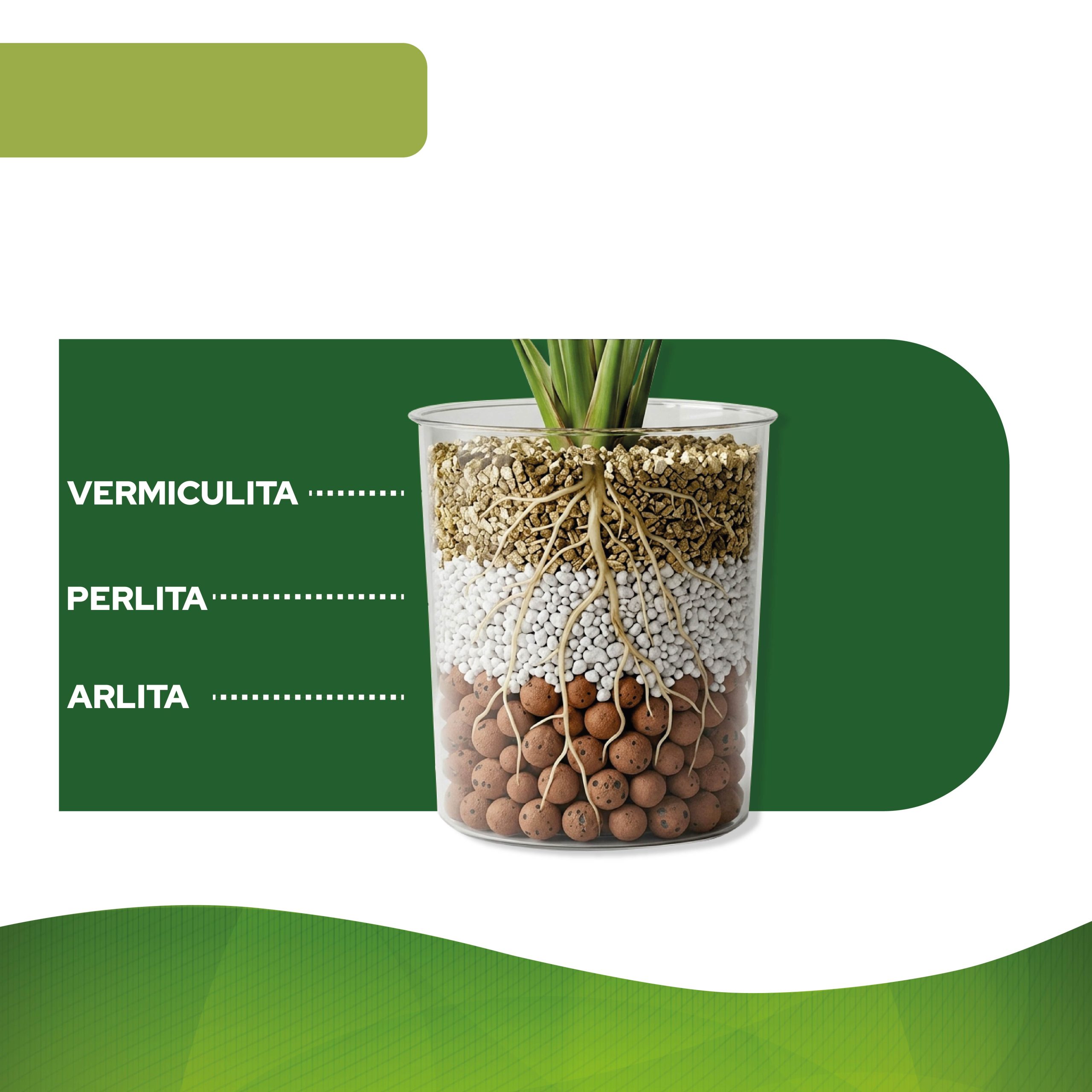 Pack de sustrato triple de Arlita, Perlita y Vermiculita 6L · foto 4