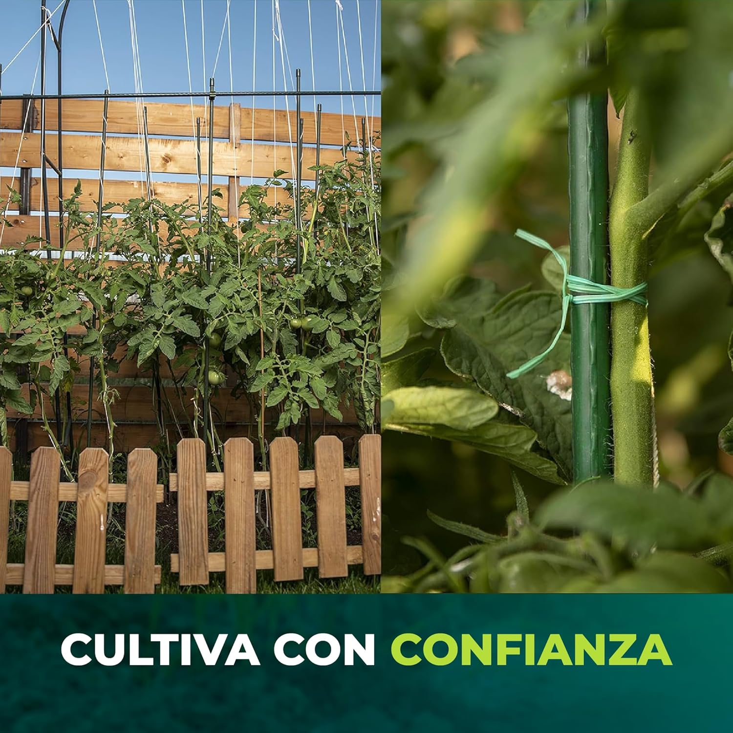 Pack de 30 tutores de acero recubiertos de PVC de 90 cm para jardinería · foto 7