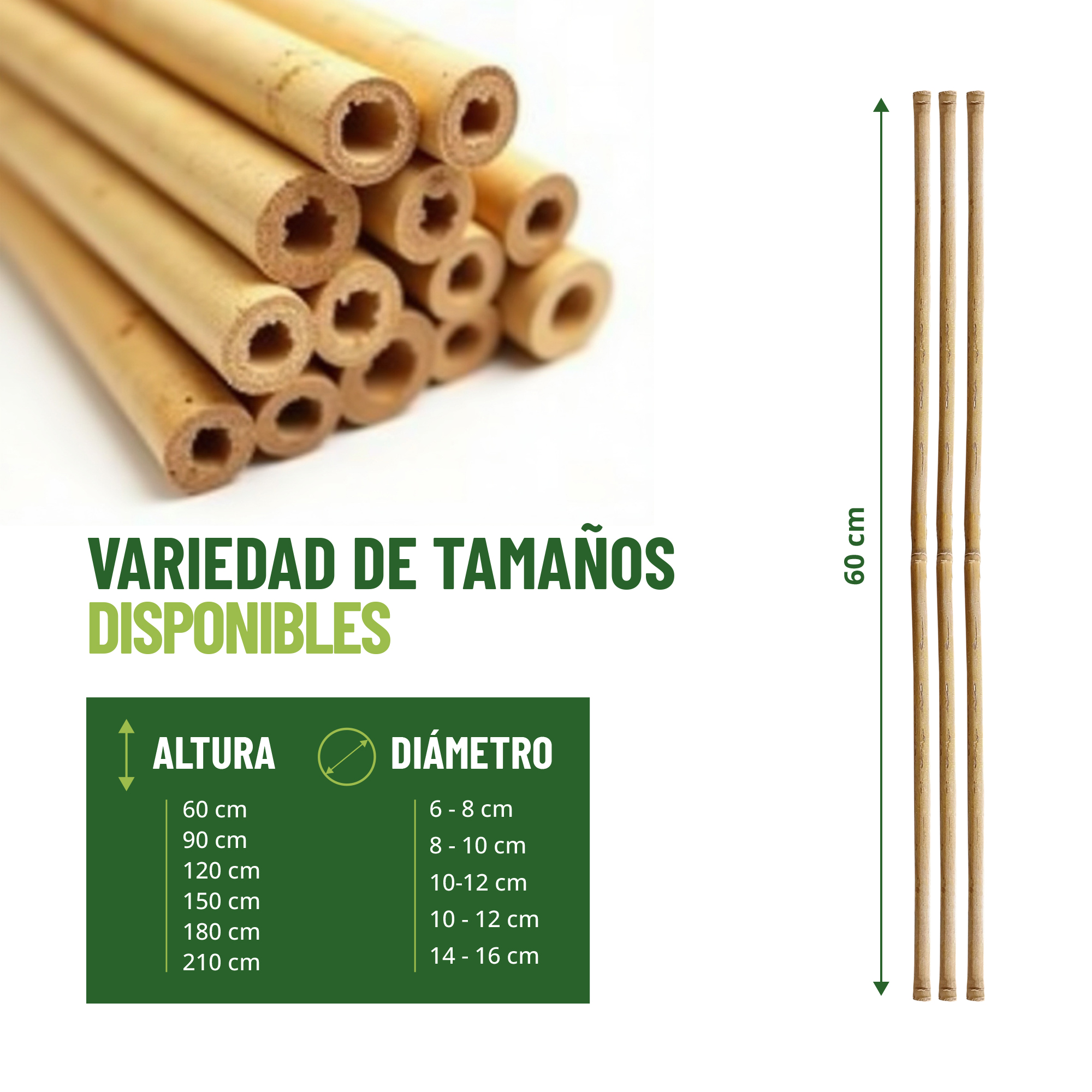 Pack de 30 tutores de bambú natural de 60 cm para guiar plantas · foto 2