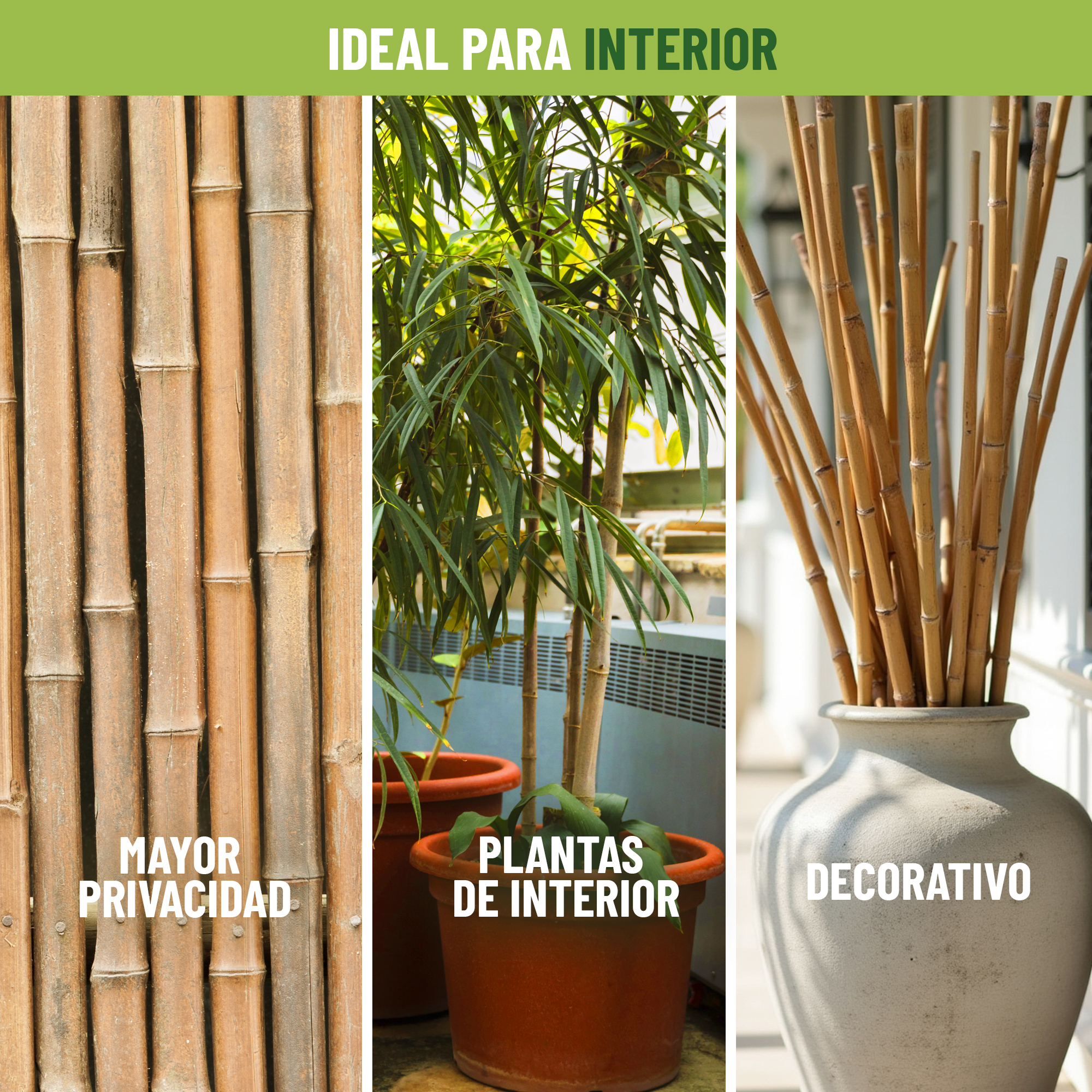 Pack de 30 tutores de bambú natural de 60 cm para guiar plantas · foto 4