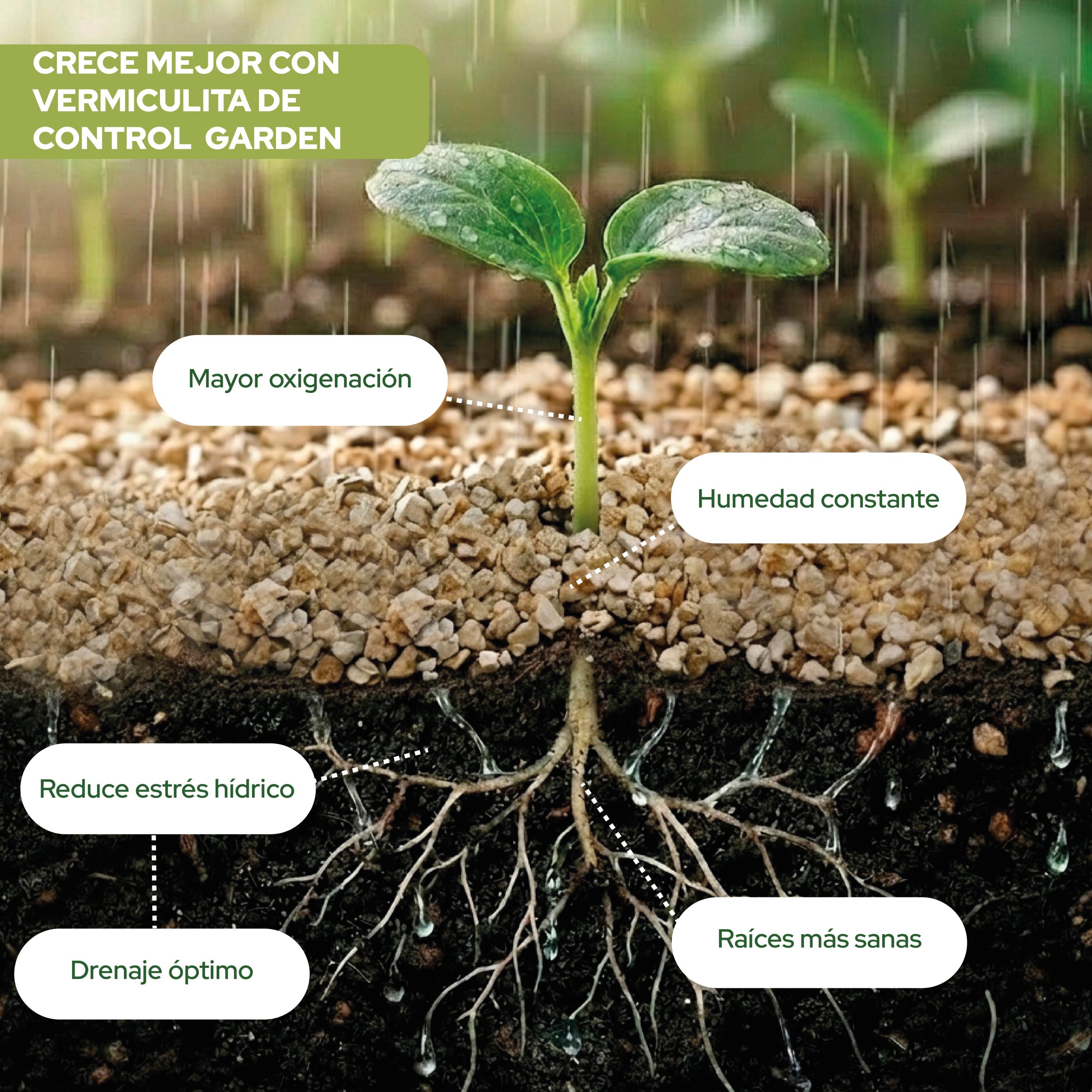Vermiculita 3L para sustrato mineral en jardinería y cultivos · foto 2