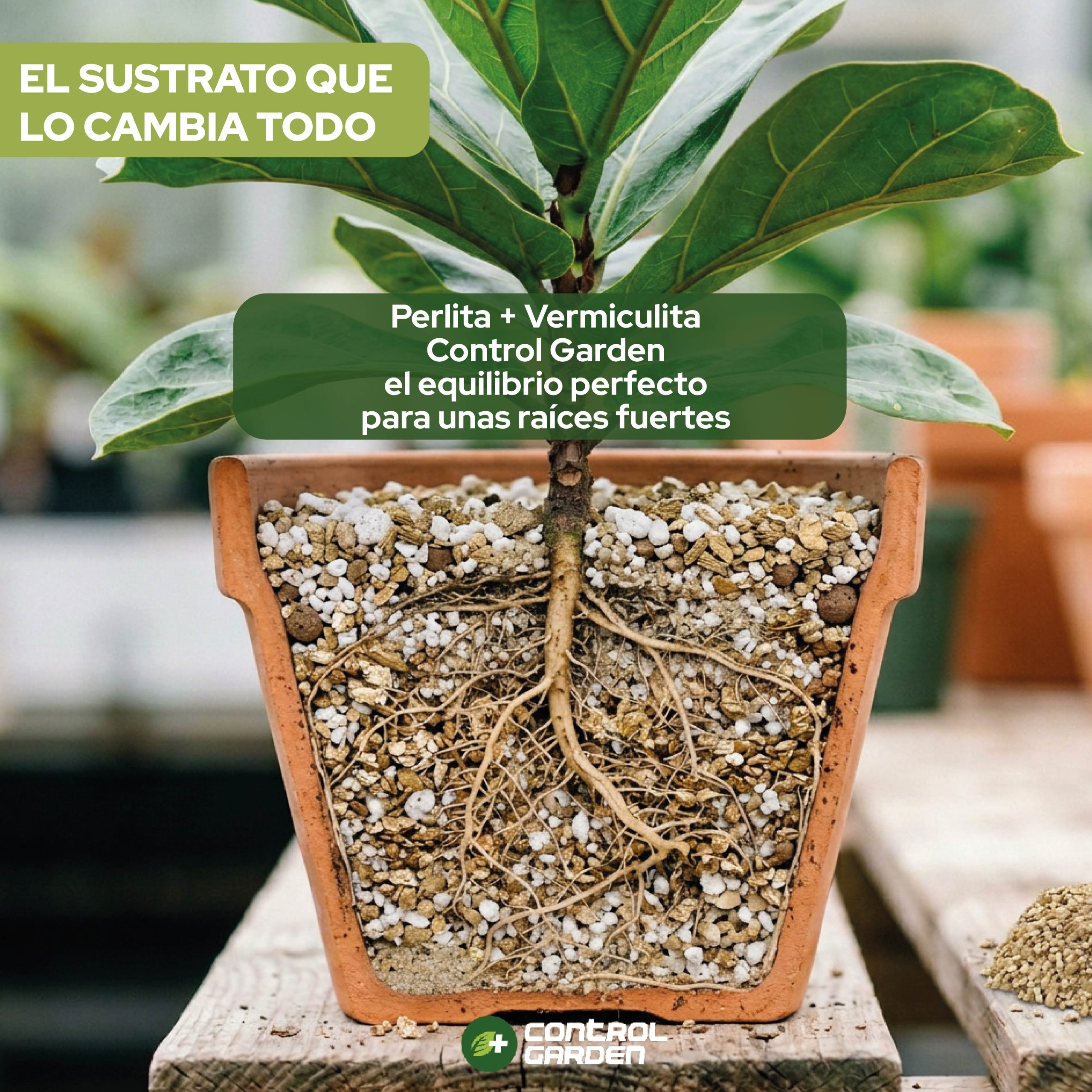 Pack de Perlita y Vermiculita 10L para cultivo de plantas · foto 8
