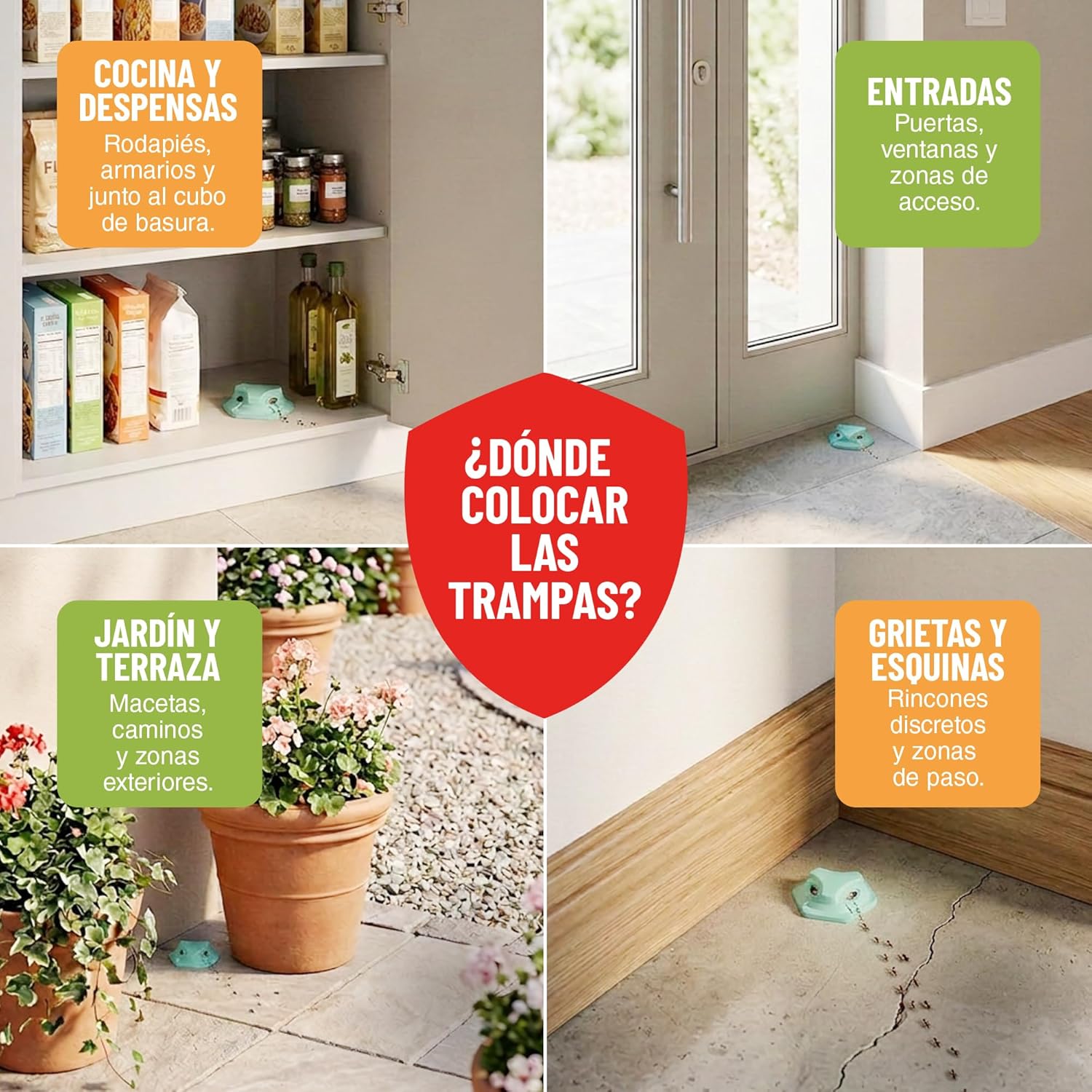 Pack de 8 trampas para hormigas en gel de Control Garden · foto 8