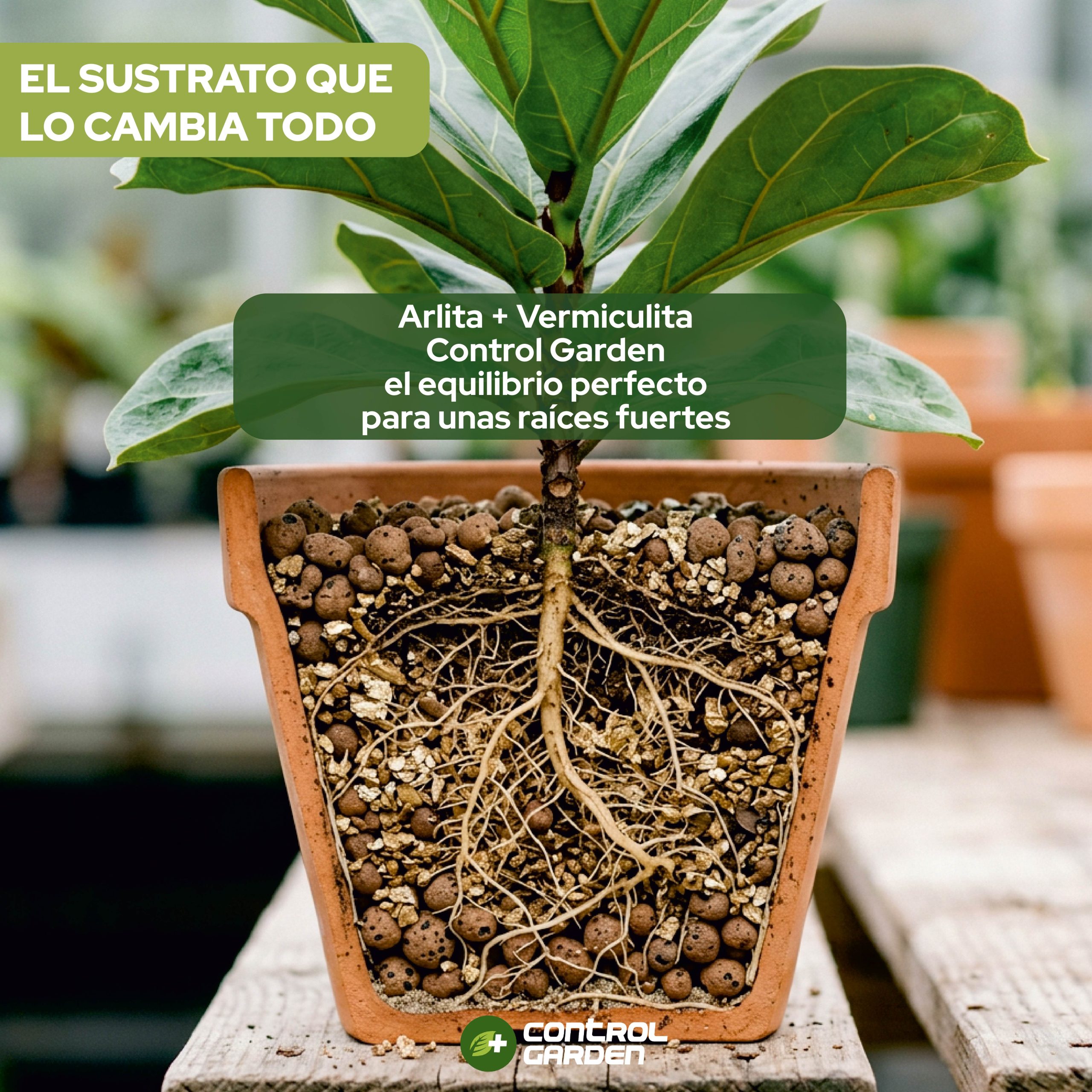 Pack de sustrato Arlita y vermiculita 6L para cultivo · foto 8