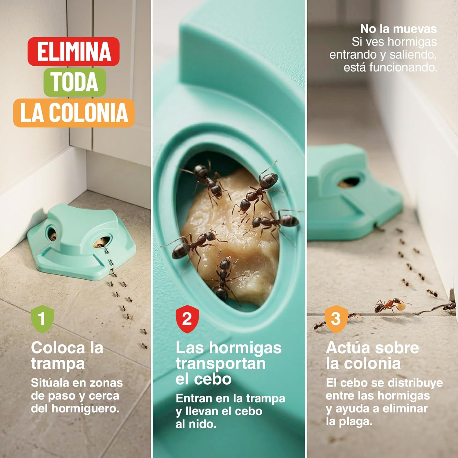 Pack de 6 trampas para hormigas en gel de Control Garden · foto 8