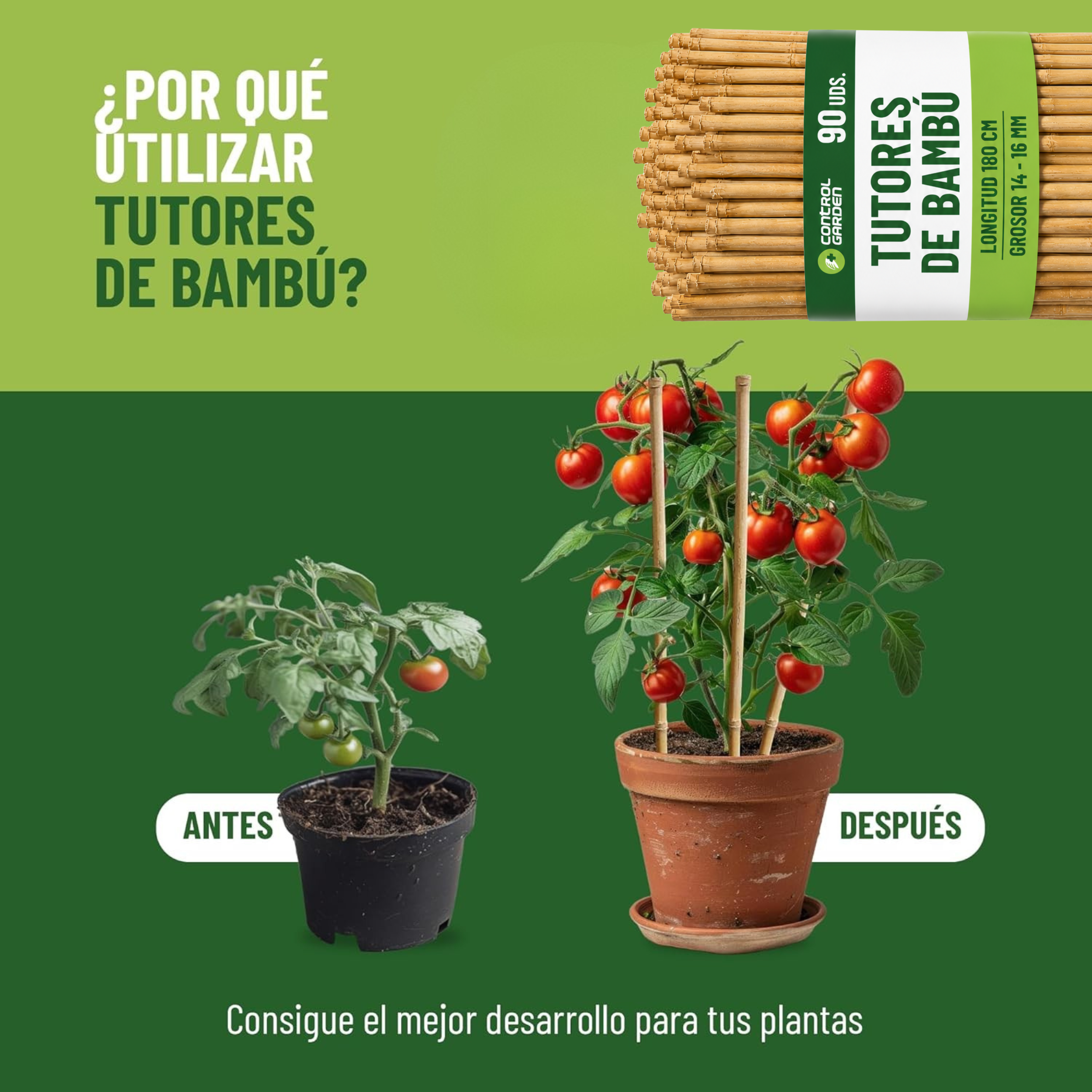 Pack de 90 tutores de bambú natural de 180 cm para soporte de plantas · foto 5