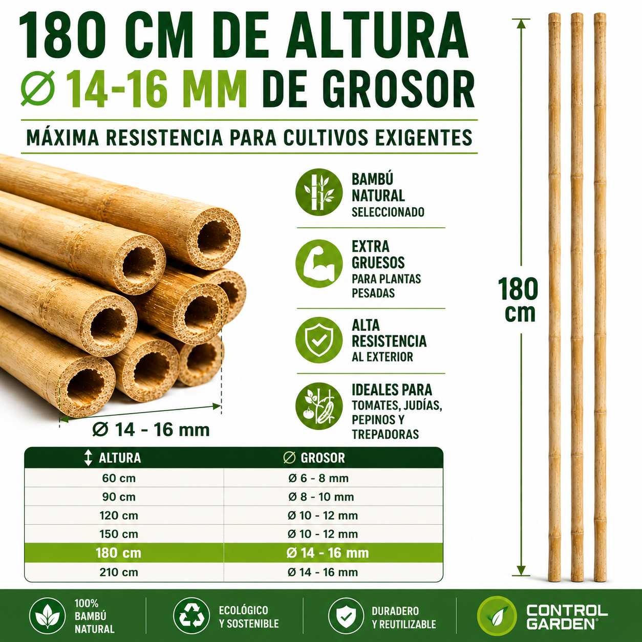Pack de 60 tutores de bambú natural de 180 cm para soporte de plantas · foto 3