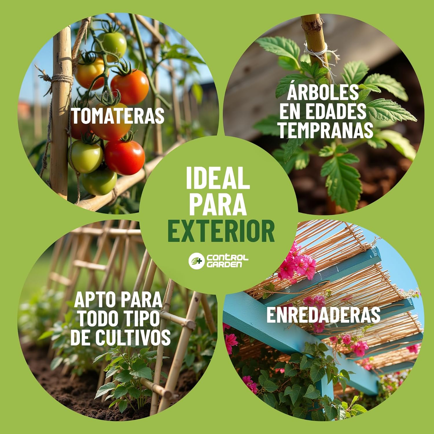 Pack de 30 tutores de bambú natural de 180 cm para soporte de plantas · foto 4